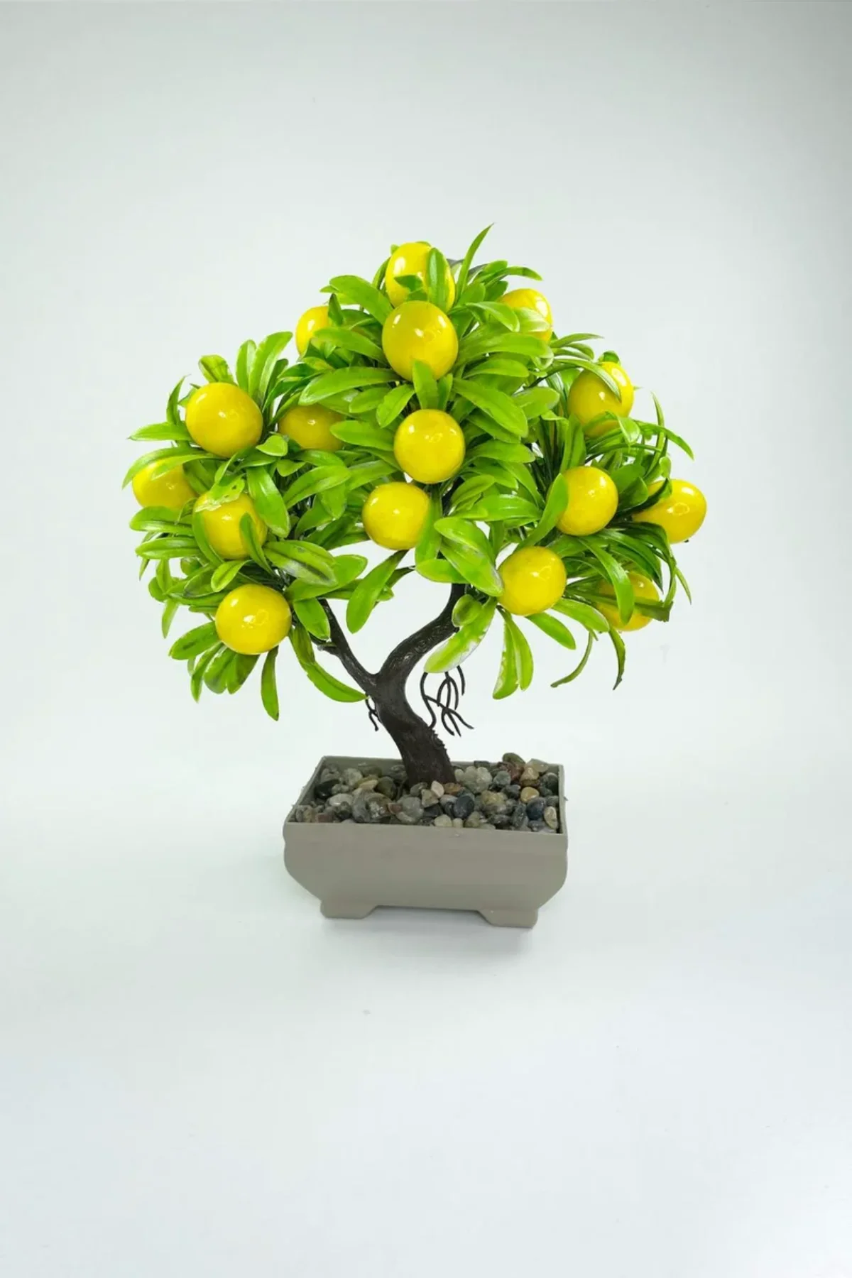 6348053dd09cd-16221.webp